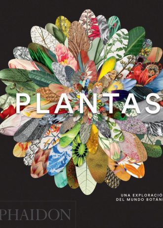 PLANTAS.jpg