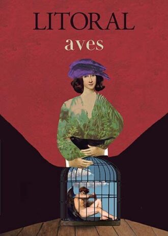 AVES.jpg