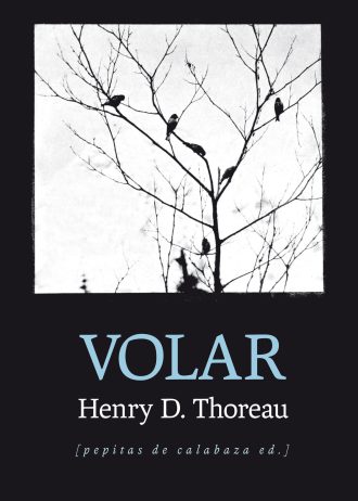 VOLAR.jpg