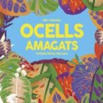 OCELLS AMAGATS