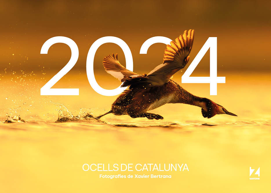2024-OCELLS-DE-CATALUNYA-CALENDARI.jpg