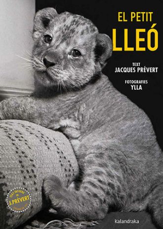EL-PETIT-LLEO.jpg