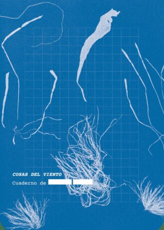 COSAS-DEL-VIENTO.jpg
