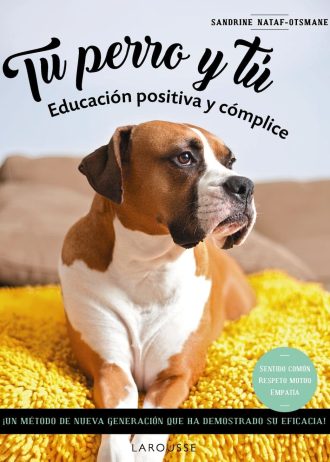 TU-PERRO-Y-TU.jpg