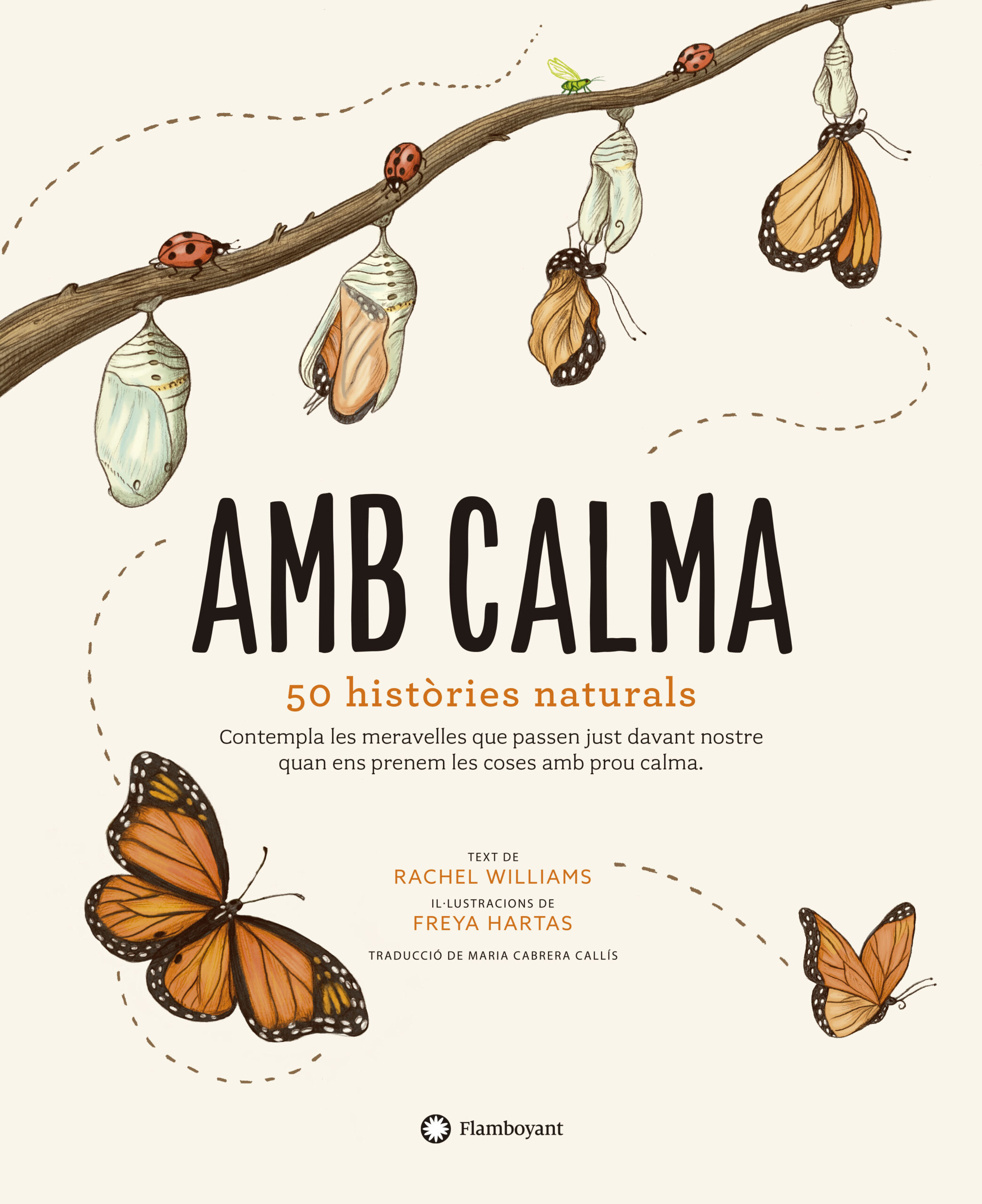AMB-CALMA.jpg