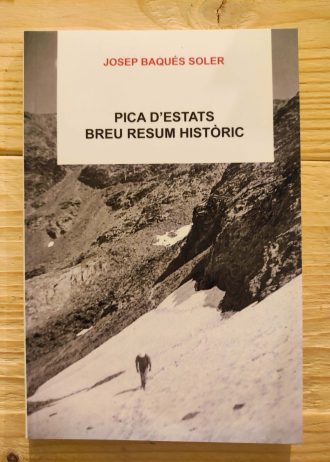 PICA-DESTATS.-BREU-RESUM-HISTORIC.jpg