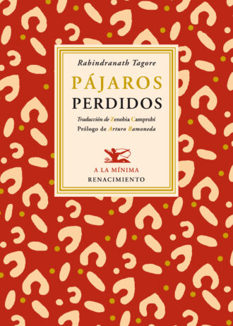 PAJAROS-PERDIDOS.jpg