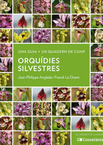 ORQUIDIES-SILVESTRES.jpg