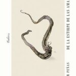 DE LA ESTIRPE DE LAS AMAZONAS