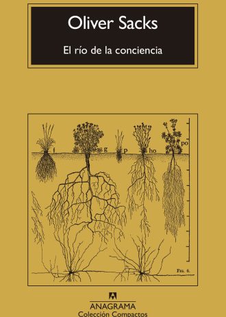 EL-RIO-DE-LA-CONCIENCIA.jpg
