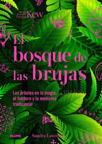 BOSQUE-DE-LAS-BRUJAS.jpg