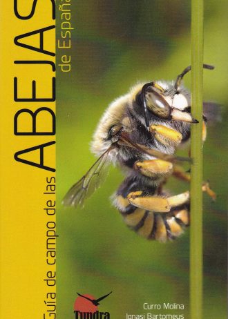 GUIA-DE-CAMPO-DE-LAS-ABEJAS-DE-ESPANA.jpg