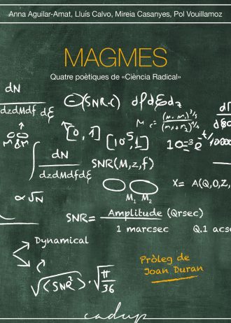 MAGMES.jpg
