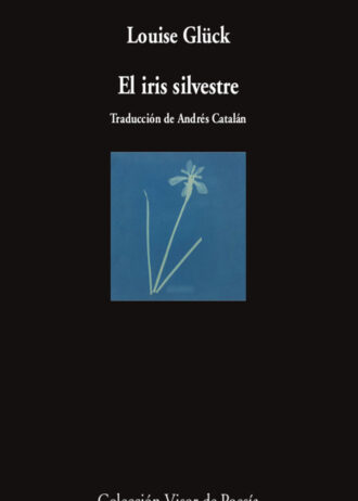 EL-IRIS-SILVESTRE.jpg