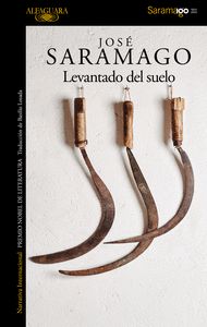 LEVANTADO-DEL-SUELO.jpg