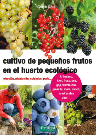 CULTIVO-DE-PEQUENOS-FRUTOS-EN-EL-HUERTO-ECOLOGICO.jpg