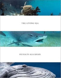 THE-LIVING-SEA.jpg