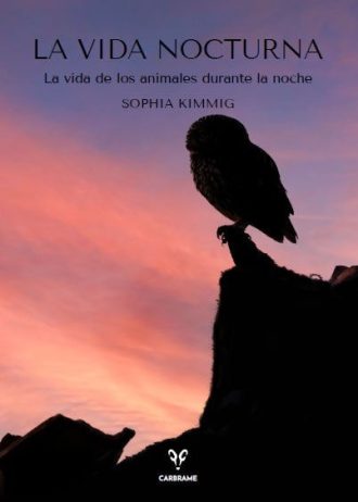 VIDA-NOCTURNA-LA.jpg