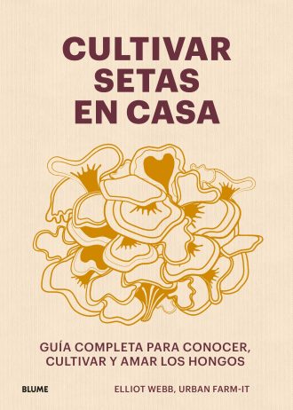 CULTIVAR-SETAS-EN-CASA.jpg