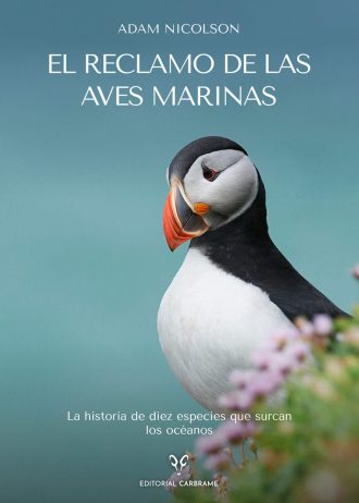EL-RECLAMO-DE-LAS-AVES-MARINAS.jpg