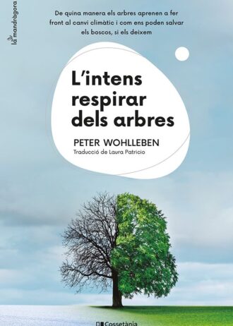 LINTENS-RESPIRAR-DELS-ARBRES.jpg