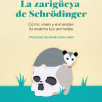 LA ZARIGÜEYA DE SCHRÖDINGER