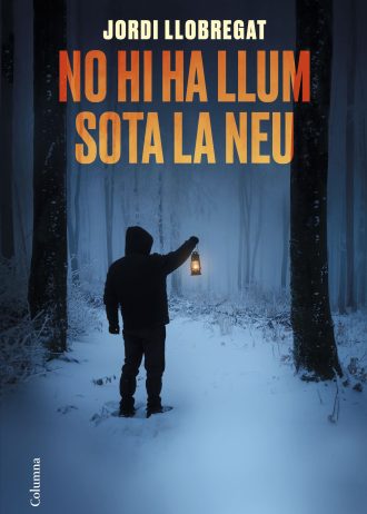 NO-HI-HA-LLUM-SOTA-LA-NEU.jpg