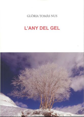 ANY-DE-GEL.jpg