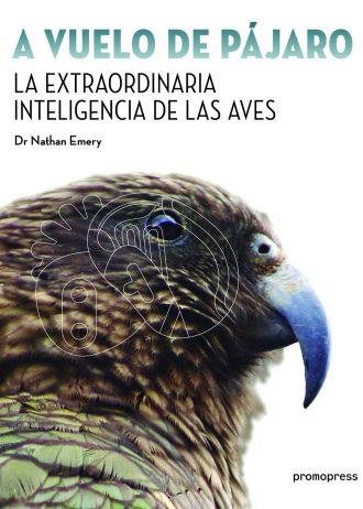 A-VUELO-DE-PAJARO.jpg