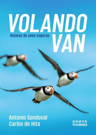 VOLANDO-VAN.jpg