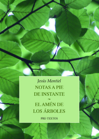 NOTAS-A-PIE-DE-INSTANTE-EL-AMEN-DE-LOS-ARBOLES.jpg