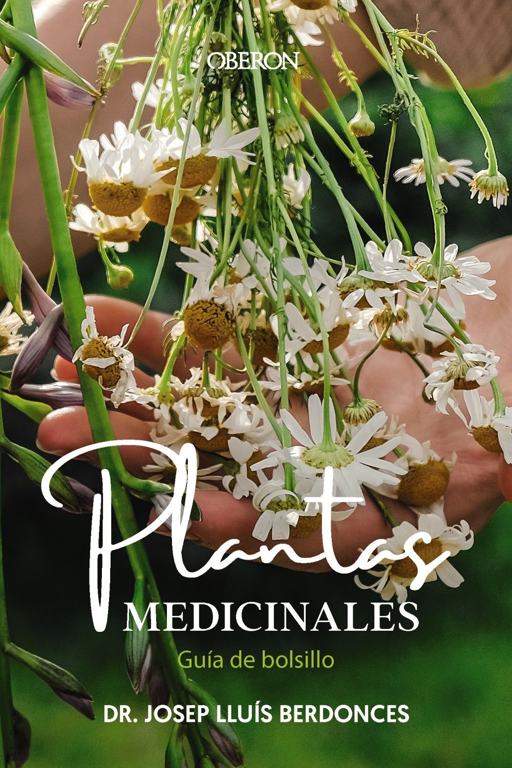 PLANTAS-MEDICINALES.-GUIA-DE-BOLSILLO.jpg