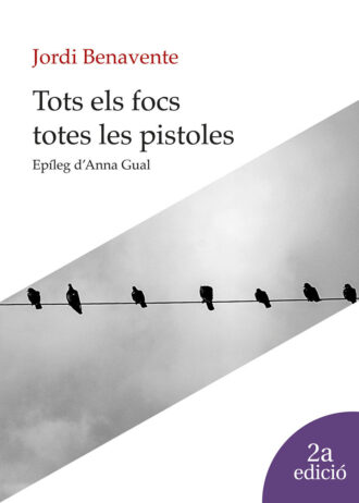 TOTS-ELS-FOCS-TOTES-LES-PISTOLES.jpg