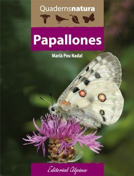 PAPALLONES.jpg