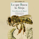LO QUE BUSCA LA ABEJA