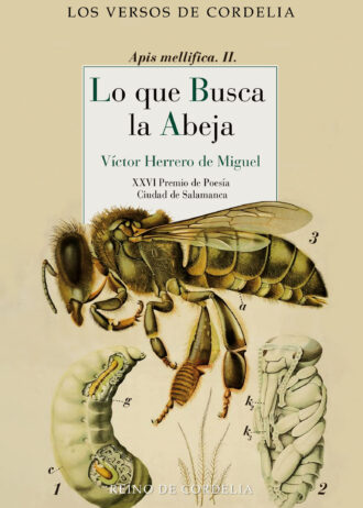 LO-QUE-BUSCA-LA-ABEJA.jpg