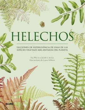 HELECHOS.jpg