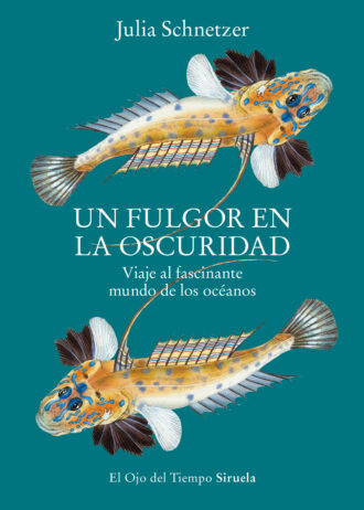 UN-FULGOR-EN-LA-OSCURIDAD.jpg