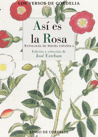 ASI-ES-LA-ROSA.jpg