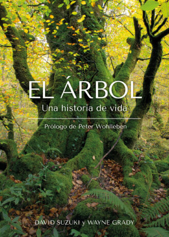 EL-ARBOL.jpg