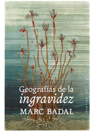 GEOGRAFIAS-DE-LA-INGRAVIDEZ.jpg