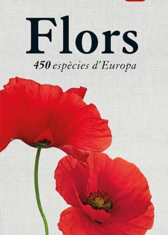 FLORS.jpg