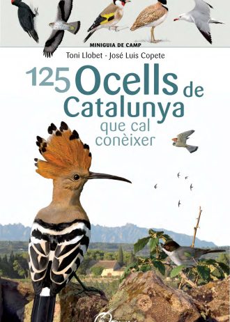 125-OCELLS-DE-CATALUNYA.jpg