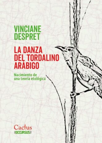 LA-DANZA-DEL-TORDALINO-ARABIGO.jpg