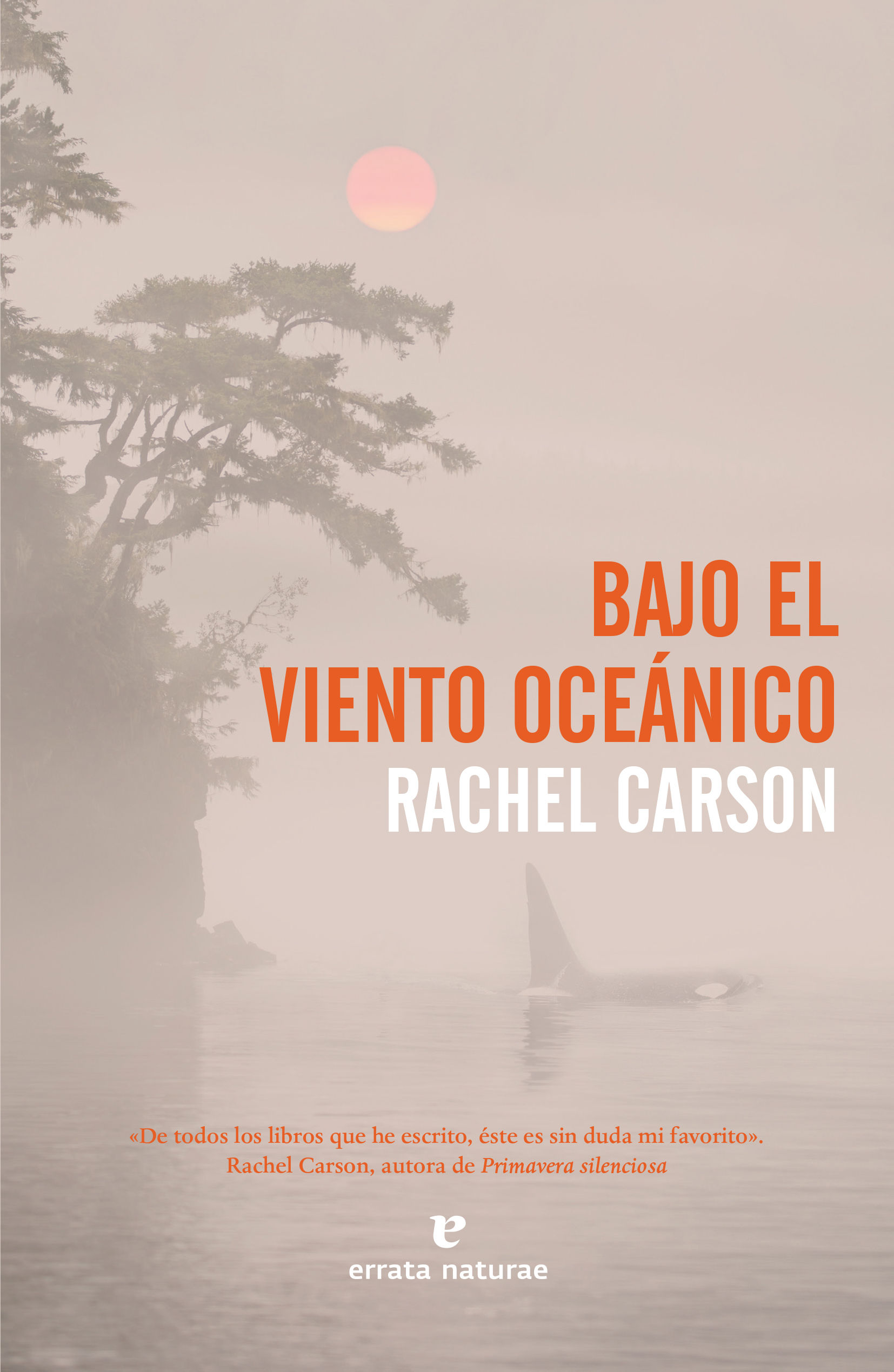 BAJO-EL-VIENTO-OCEANICO.jpg