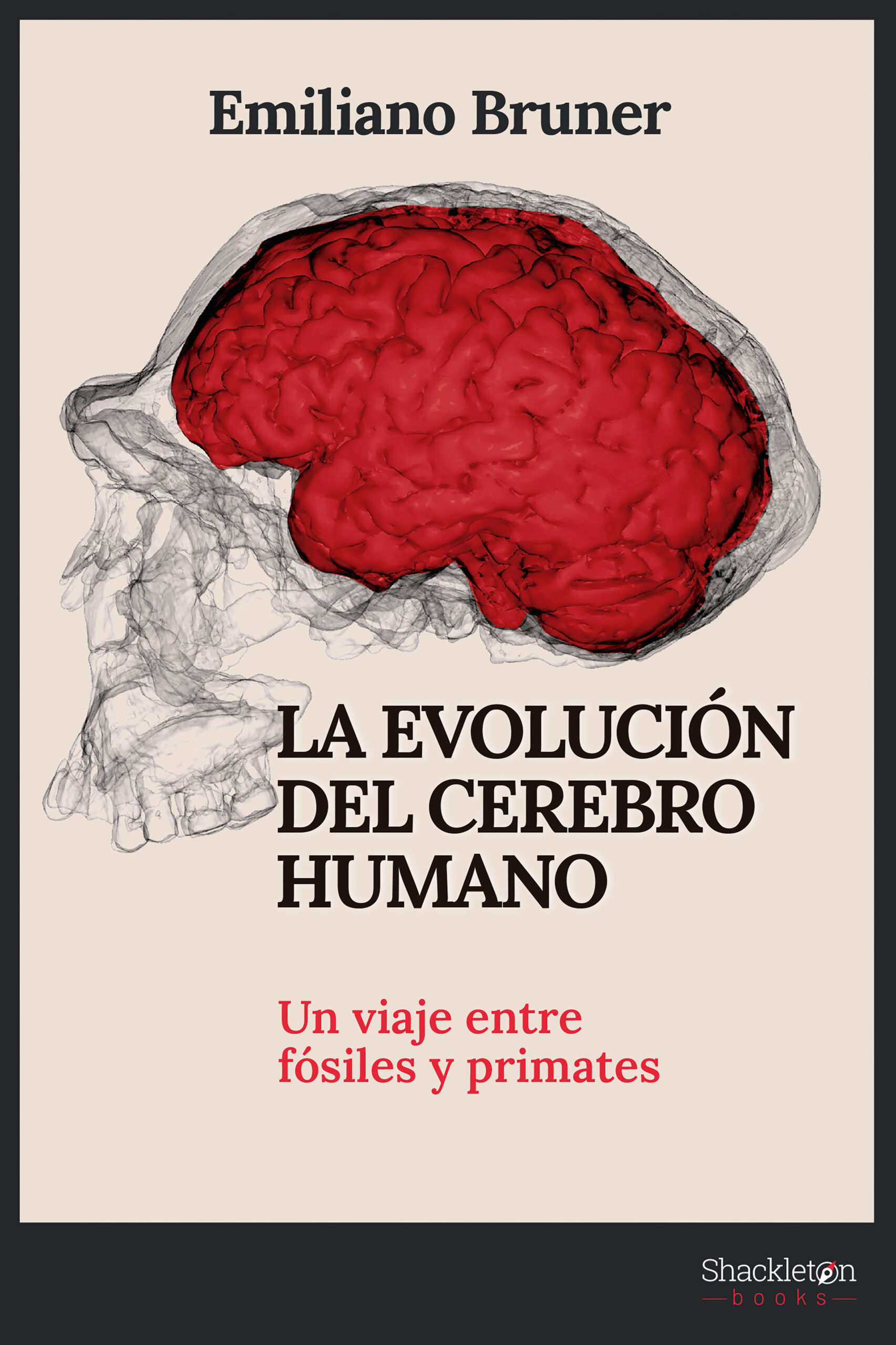 LA-EVOLUCION-DEL-CEREBRO-HUMANO.jpg