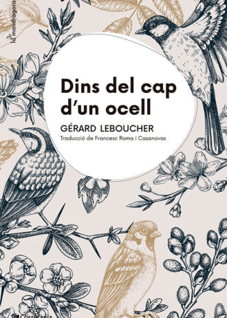 DINS-DEL-CAP-DUN-OCELL.jpg