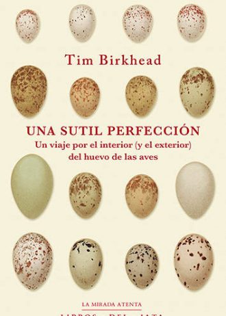 UNA-SUTIL-PERFECCION.jpg