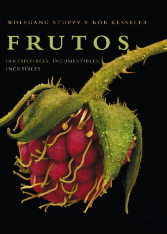 FRUTOS.jpg