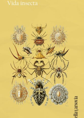 VIDA-INSECTA.jpg